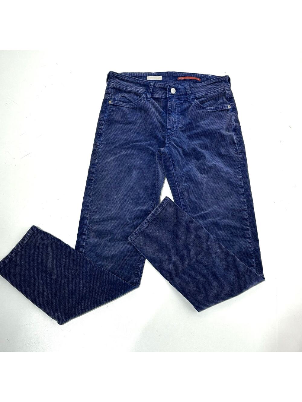 Anthro Pilcro & The Letterpress Slim Boyfriend Crop Blue Corduroy Pants 25